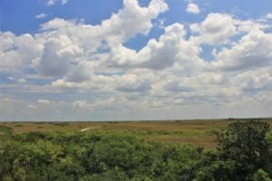 השירות המטאורולוגי: "זה היום בו הכל יחזור"