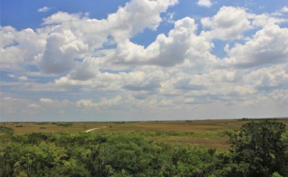 שבוע הפכפך: גשם וזינוק בטמפ': תחזית מזג אוויר