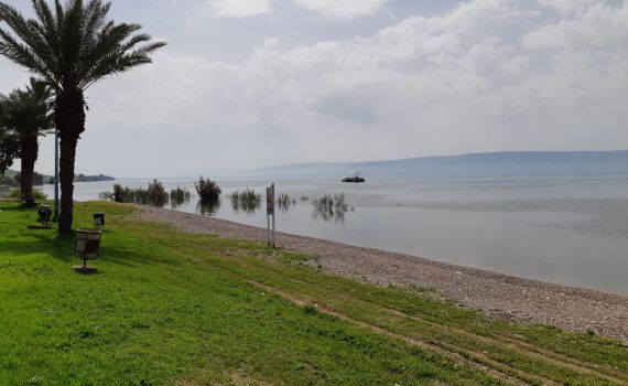 גם בלי גשם: מפלס הכנרת ממשיך לזנק