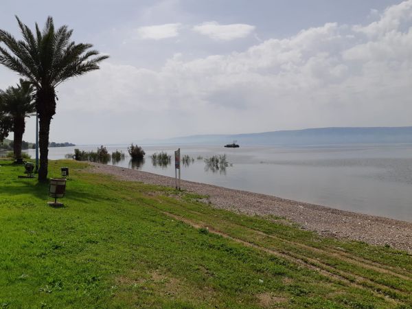 גם בלי גשם: מפלס הכנרת ממשיך לזנק