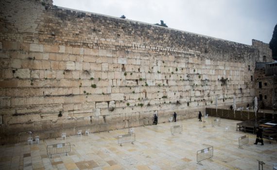 תפילה המונית לעצירת נגיף הקורונה