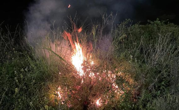 בקבוקי תבערה נזרקו לעבר כוחות מג"ב סמוך ליצהר