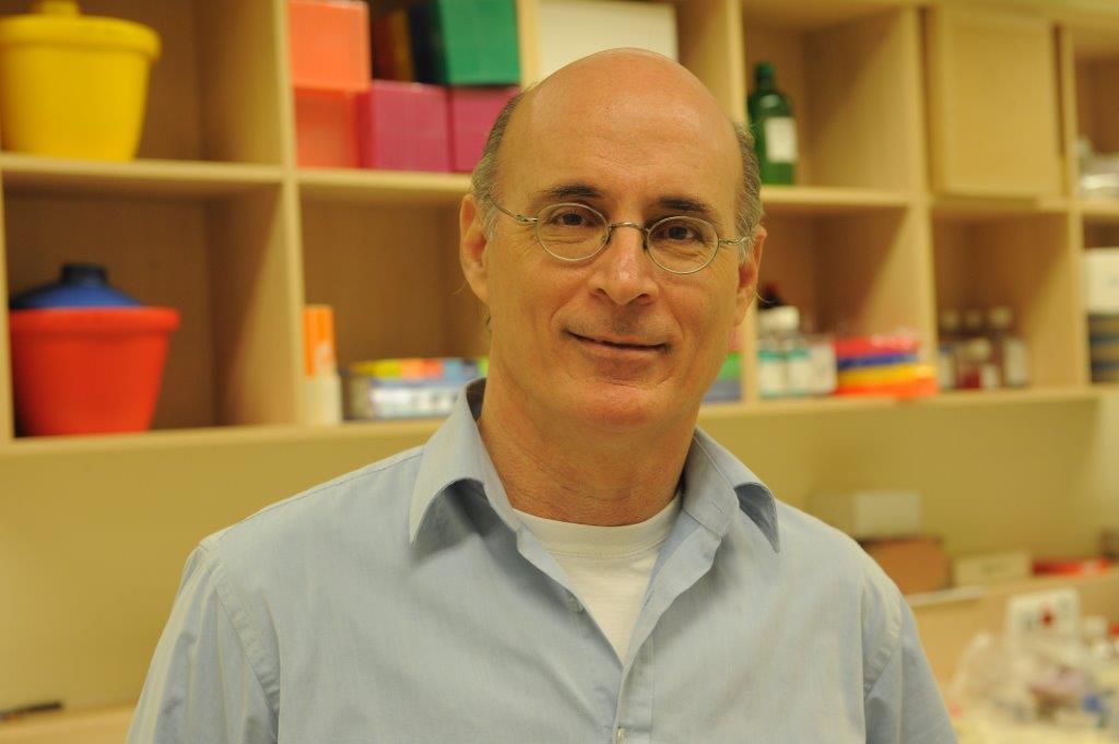 זוכה פרס ישראל בחקר הרפואה: פרופ' גדעון רכבי