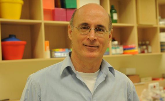 זוכה פרס ישראל בחקר הרפואה: פרופ' גדעון רכבי