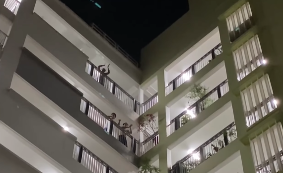 אחרי ישראל: בעולם מוחאים כפיים לצוותי הרפואה • צפו