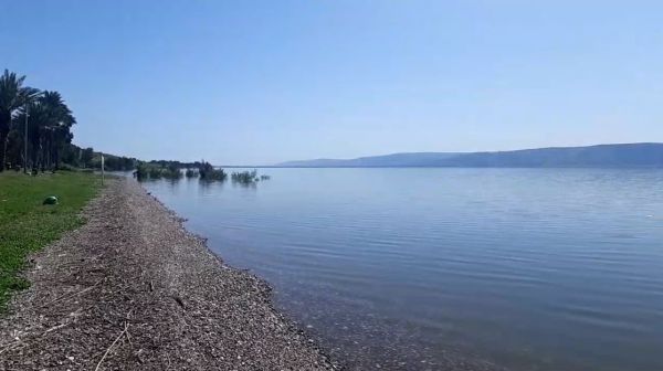 'סיכוי זעיר שתתמלא השנה': מפלס הכנרת שוב בירידה