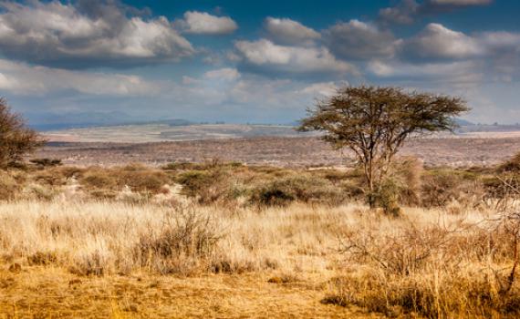 חם ויבש; סופות חול ואובך: תחזית מזג האוויר