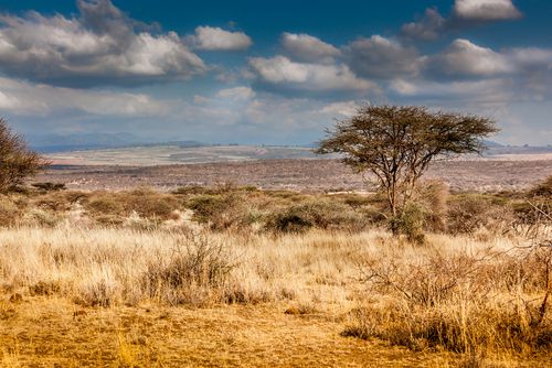 חם ויבש; סופות חול ואובך: תחזית מזג האוויר