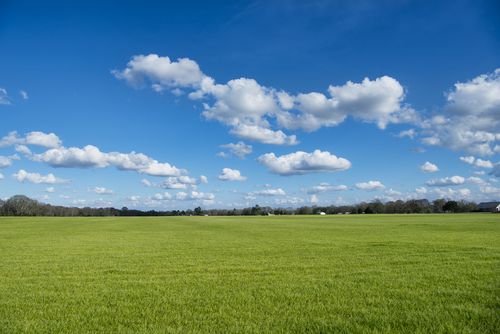 תחזית מזג אוויר לימים הקרובים