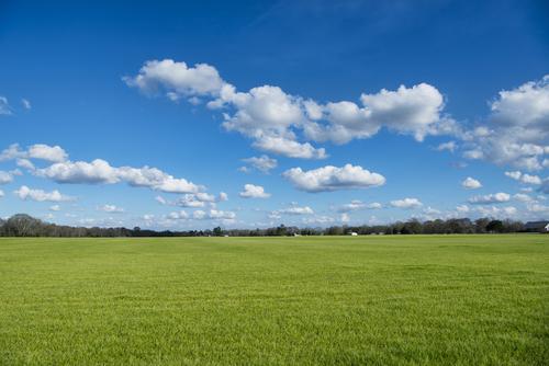 עומס חום בשני איזורים, ואז הקלה: תחזית מזג אוויר לשבוע הקרוב