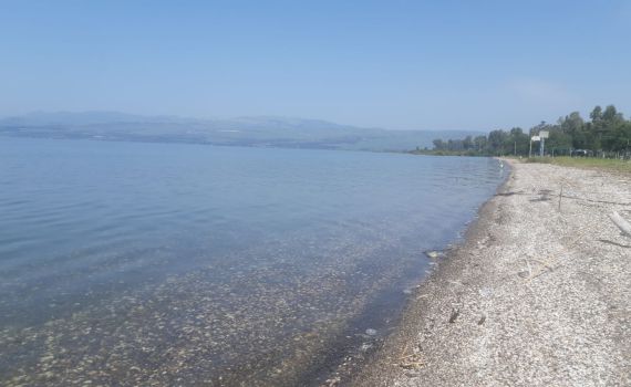 עלייה נוספת במפלס הכנרת; וכמה חסר לכנרת מלאה?