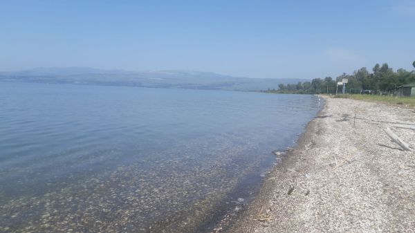עלייה נוספת במפלס הכנרת; וכמה חסר לכנרת מלאה?