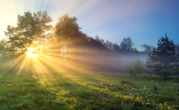 עלייה בטמפ'; ומתי הגשם חוזר? תחזית מזג אוויר לסופ"ש