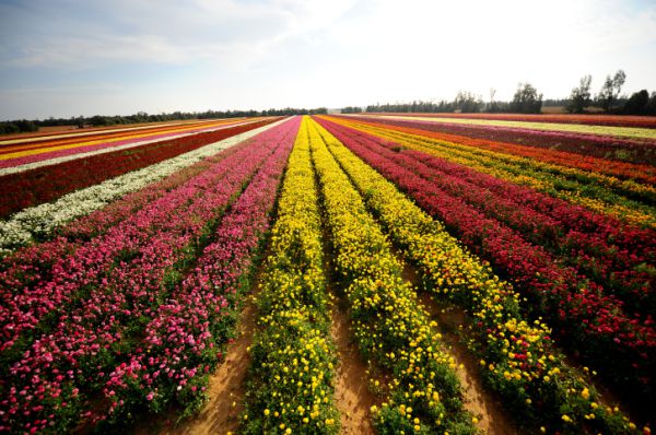 חם מהרגיל לעונה; הפוגה מהגשם: תחזית מזג האוויר