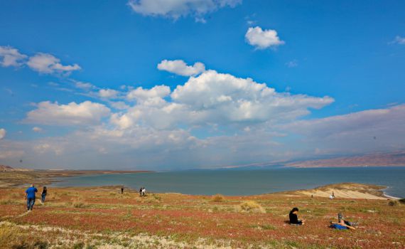 עלייה בטמפרטורות, רוחות וגשם: תחזית מזג האוויר
