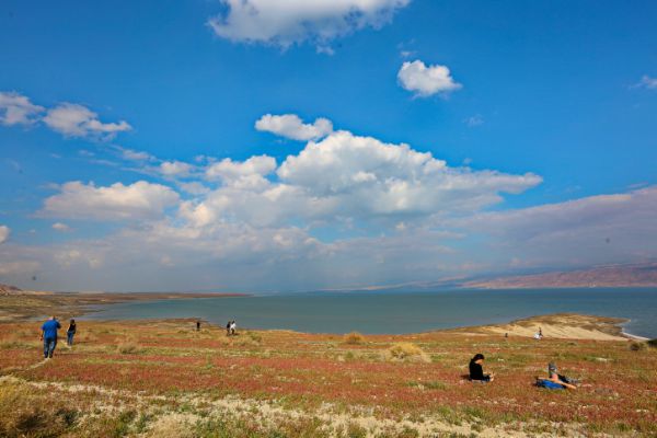 עלייה בטמפרטורות, רוחות וגשם: תחזית מזג האוויר