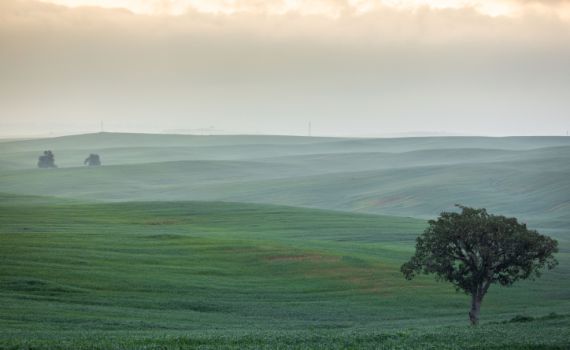 החורף נגמר? הגשם ייפסק; החום חוזר:תחזית מזג האוויר לחול המועד פסח