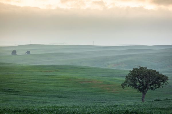 החורף נגמר? הגשם ייפסק; החום חוזר:תחזית מזג האוויר לחול המועד פסח