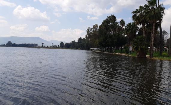 ממשיכה להתמלא: מפלס הכנרת ממשיך לטפס