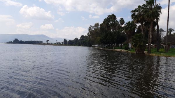 ממשיכה להתמלא: מפלס הכנרת ממשיך לטפס