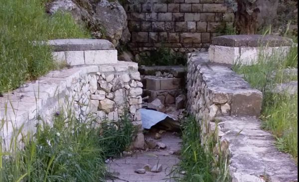 זעזוע: קבר הרב עובדיה מברטנורא חולל בהר הזיתים