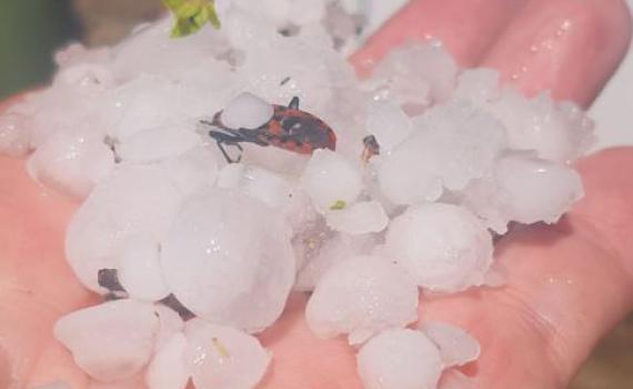 צפו: ברד כבד בדרום; מאות ברקים פגעו בשטח ישראל