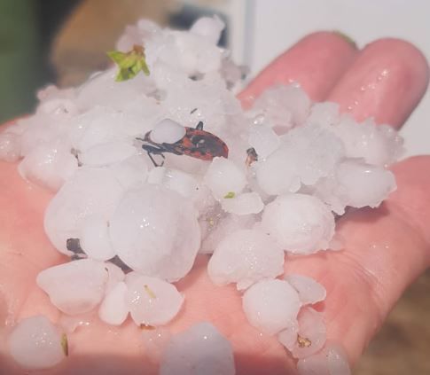 צפו: ברד כבד בדרום; מאות ברקים פגעו בשטח ישראל