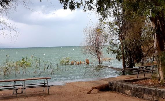 מפלס הכנרת עלה ביממה האחרונה בחצי ס"מ