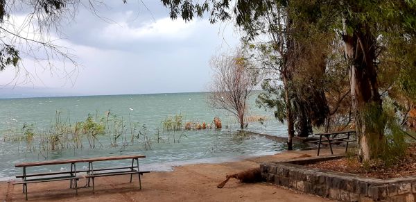 מפלס הכנרת עלה ביממה האחרונה בחצי ס"מ
