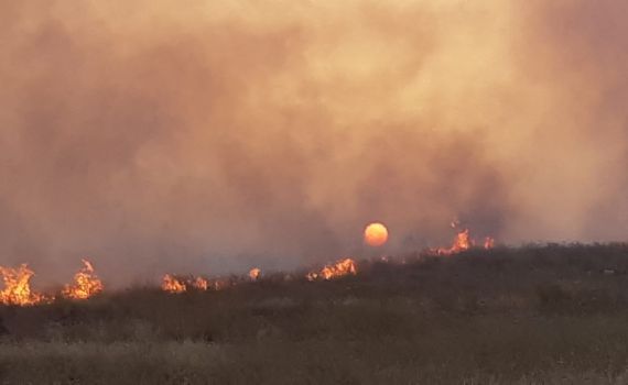 שריפת ענק מאיימת על העיר אלעד. צפו בתיעוד