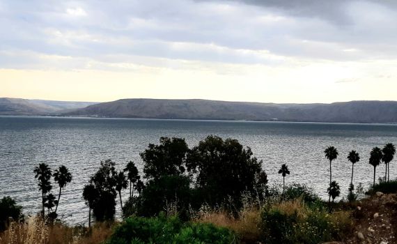 מפלס הכנרת שומר על יציבות