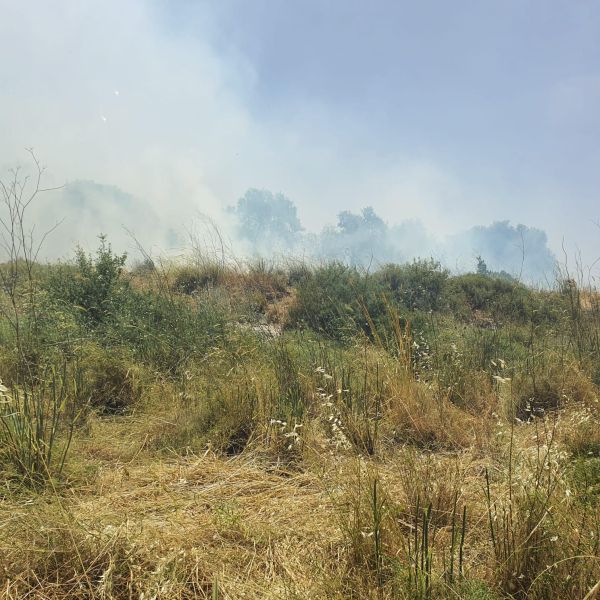 שריפה ענקית ביישוב גבע בנימין;תושבים פונו מבתיהם