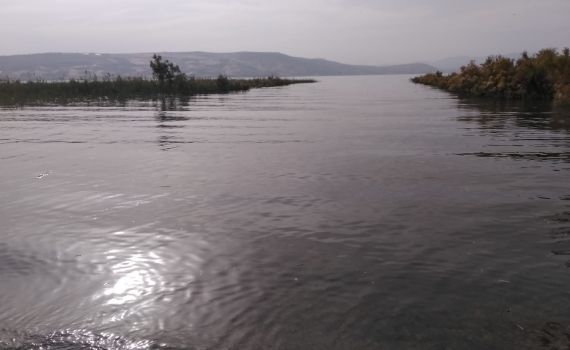 למרות השרב: מפלס הכנרת שומר על יציבות