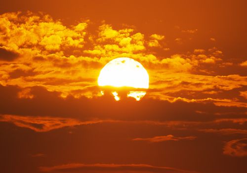 לא נגמר | גל החום מתגבר; תחזית מזג האוויר