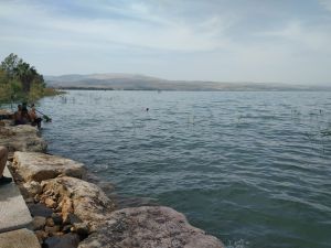 הגשם נעצר; הקצב נמשך: מפלס הכנרת ממשיך לעלות