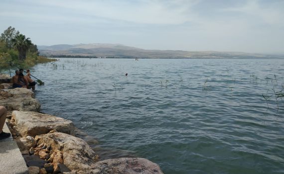 קיץ? מפלס הכנרת מזנק; וכמה חסר לכנרת מלאה?