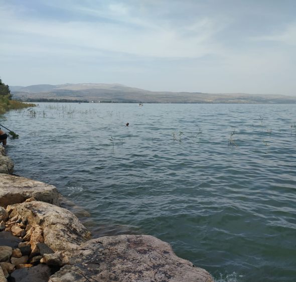 הגשם נעצר; הקצב נמשך: מפלס הכנרת ממשיך לעלות