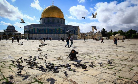 קצר על הפרשה| צריכים לדרוש להתפלל בהר הבית