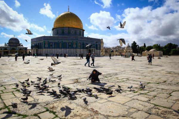 קצר על הפרשה| צריכים לדרוש להתפלל בהר הבית