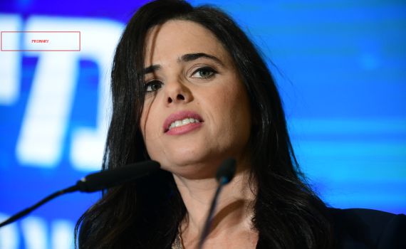 שקד: "נעשה כל מה שצריך כדי להפיל את הממשלה"