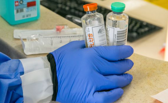 פריצת דרך משמעותית במציאת נוגדן לקורונה