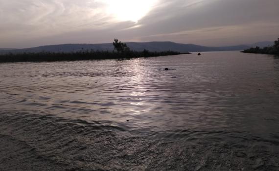 בשל חריגות בבדיקות: חופים בכנרת נסגרו לרחצה