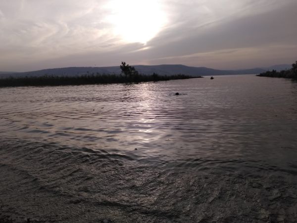 בשל חריגות בבדיקות: חופים בכנרת נסגרו לרחצה