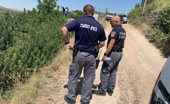 הטרור החקלאי: ערבים גנבו דובדבנים ממטעי גוש עציון