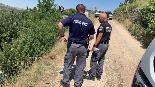 הטרור החקלאי: ערבים גנבו דובדבנים ממטעי גוש עציון