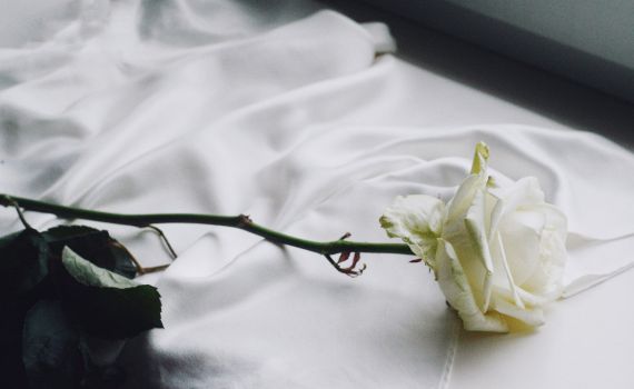 בדיוק בזמן: טיפים לאיפור לבן לשבועות