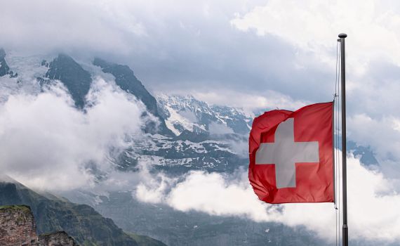 ישראל שלי: שוויץ עומדת מאחורי העתירה לבג"צ