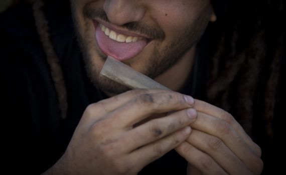 הרצוג וסער בבשורה למעשני הקנאביס