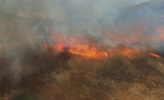שריפה משתוללת סמוך לכביש 90; כוחות רבים הוקפצו