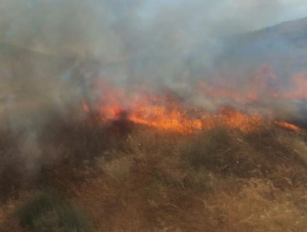 שריפה משתוללת סמוך לכביש 90; כוחות רבים הוקפצו